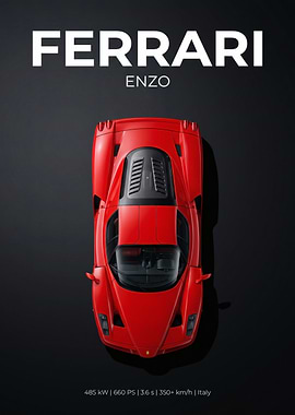 Ferrari Enzo Top View