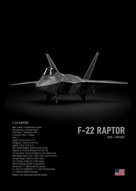 F-22 Raptor Stealth Fighter