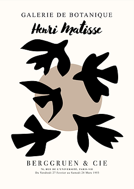 Matisse | Birds T72R
