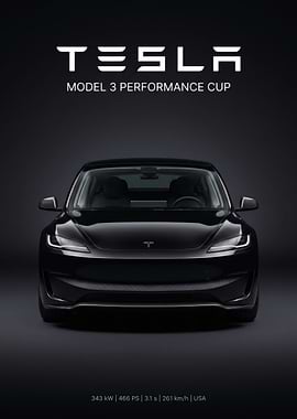 Tesla Model 3 Performance Cup