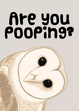 Owl asking 'Are you pooping?'
