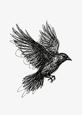 Scribble Art Bird in Flight