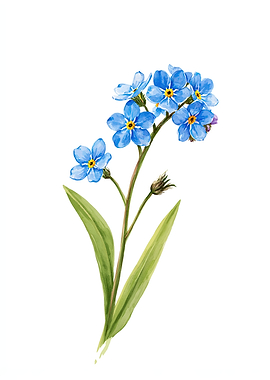 Watercolor Forget-Me-Nots