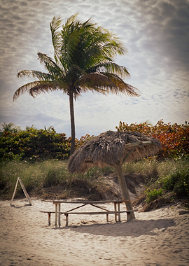Tropical Beach Picnic Scene
