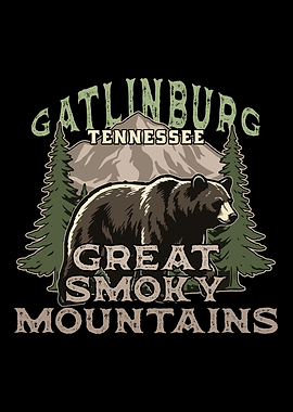 Gatlinburg Great Smoky Mountains Bear