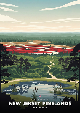New Jersey Pinelands Landscape