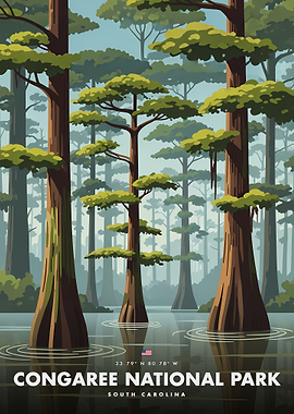 Congaree National Park Poster