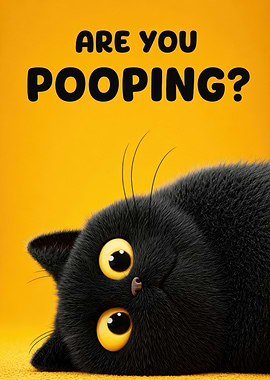 Funny Black Cat Asks 'Are You Pooping?'