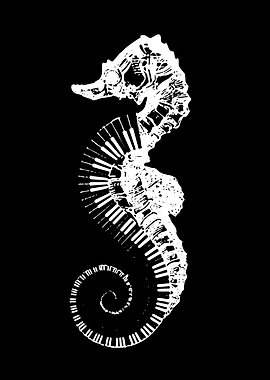 Seahorse Piano Keys