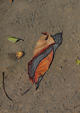 Fallen Autumn Leaf on Muddy Ground