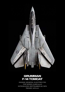 Grumman F-14 Tomcat Top View