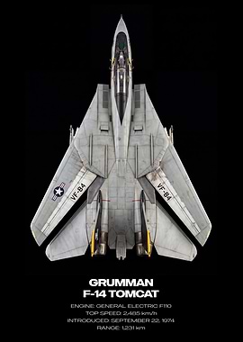 Grumman F-14 Tomcat Top View