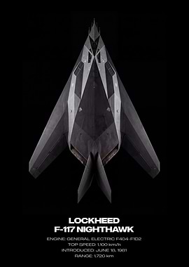 Lockheed F-117 Nighthawk Stealth Fighter