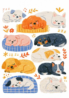 Sleeping Puppies and Dog Beds