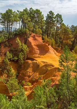 Ochre rock formations and pine forest