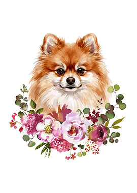 Pomeranian Dog with Flowers