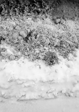 Close-up of Textured Powder and White Substance
