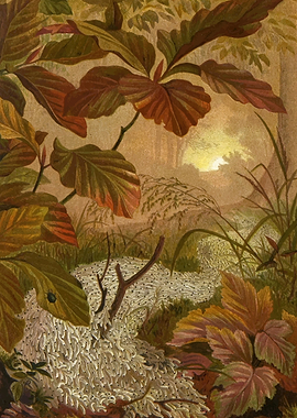 Alfred Edmund Brehm