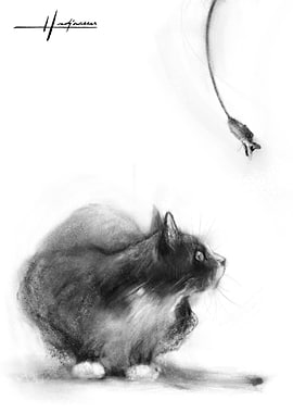 Cat playing with a toy