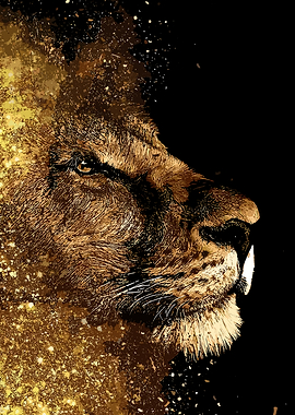 Golden Lion Profile