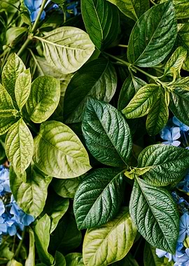 Vibrant Green Leaves and Blue Flowers