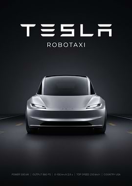 Tesla Robotaxi Concept