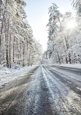 Snowy Forest Road in Winter