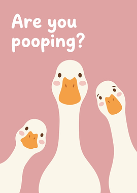 Three Geese Asking 'Are You Pooping?'