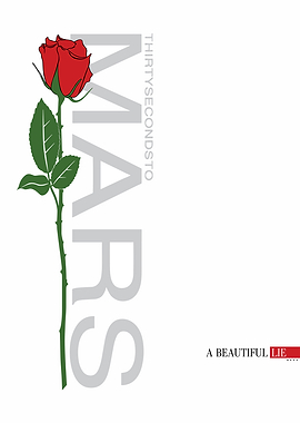 Red Rose with Text