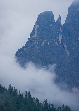 Misty Mountain Peaks and Forest - San Martino di Castrozza - Dolomites