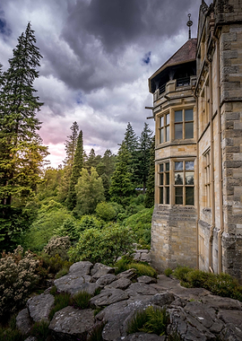 Gothic Architecture Amidst Lush Forest