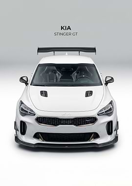 sleek White Kia Stinger GT Race Car poster