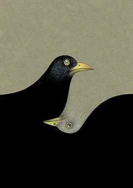 Two Crows Yin Yang