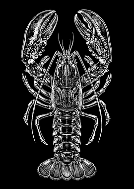 Detailed Lobster Illustration