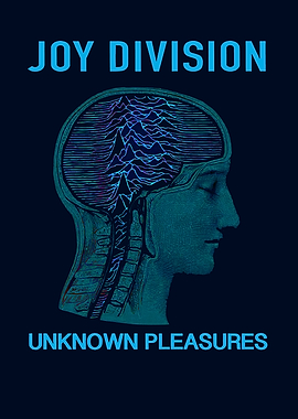 Joy Division Unknown Pleasures Album Art