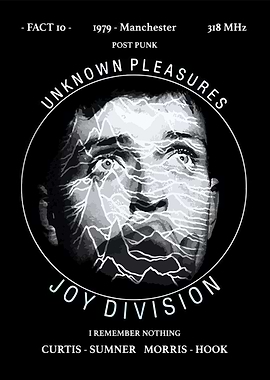Joy Division Unknown Pleasures Album Art