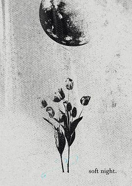 Moon and Tulips