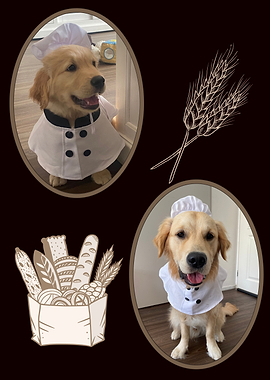 Golden Retriever Chef with Bakery Items