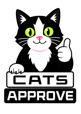 Cat Giving Thumbs Up Cat Approve