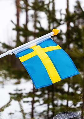 Swedish Flag in Winter Forest