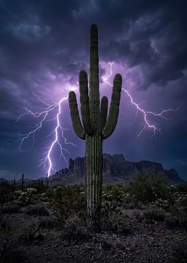 Saguaro Cactus in Desert Lightning Storm