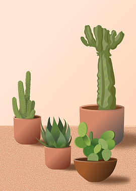 Potted Cacti and Succulents
