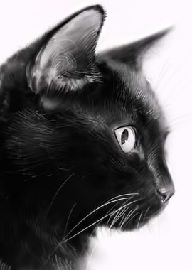 Black Cat Profile Portrait