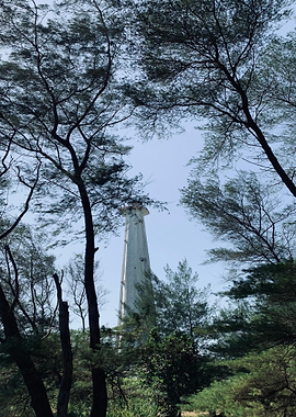 Lighthouse through trees