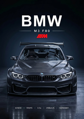 sleek BMW M3 F80 Carbon Fiber Race Car
