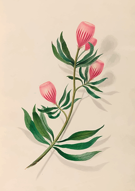 Pink Bell Flowers and Green Leaves by: Charles Empson