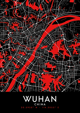 Wuhan Dark Map