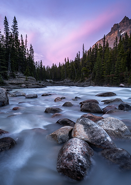River flowing through a forest at sunset