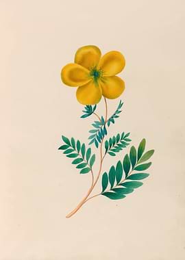 Yellow Flower with Green Leaves by: Charles Empson