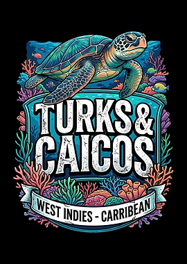 Turks & Caicos Sea Turtle Art